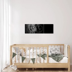 Obraz divokého tigra (s hodinami) (90x30 cm)