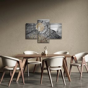 Obraz - Kmeň stromu v koláži (90x60 cm)
