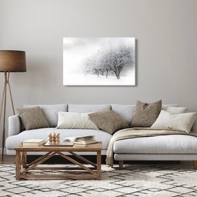 Obraz - Zimná alej (90x60 cm)