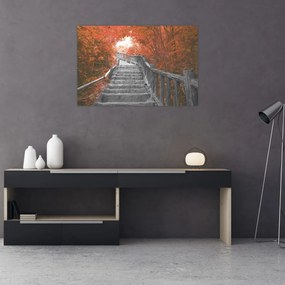 Obraz - Schody v prírode, oranžová (90x60 cm)