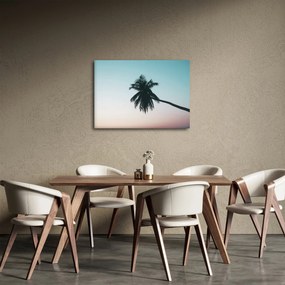 Obraz - Palma na Bali (70x50 cm)