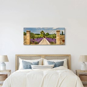 Obraz - Levanduľové cesty (120x50 cm)