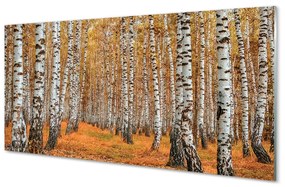 Nástenný panel  jesenné stromy 125x50 cm