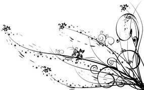 Samolepiaca tapeta s motívom kvetov - 300x200