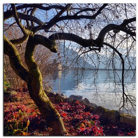 Obraz na plátne - Jeseň pri jazere - štvorec 3198A (80x80 cm)