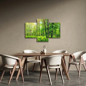 Obraz - Jarný listnatý les (90x60 cm)