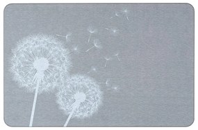 Sivá kúpeľňová predložka z kremeliny 39x60 cm Astera – Wenko