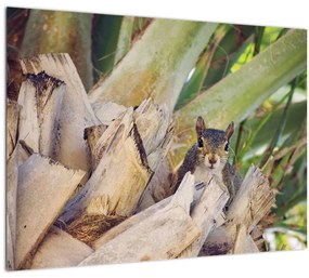 Sklenený obraz veveričky na strome (70x50 cm)