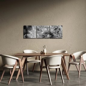 Obraz - páperie púpav (s hodinami) (90x30 cm)