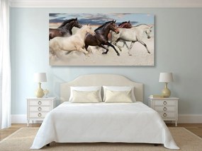 Obraz stádo koní Varianta: 100x50