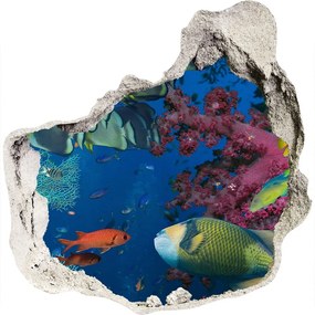 Nálepka 3D diera na stenu samolepiaca Koralový útes nd-p-64308436