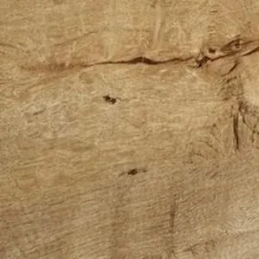 Vitrína Nevada W2D, dub lefkas ciemny