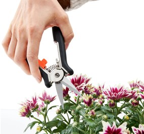 Záhradnícke mininožnice, 2 ks