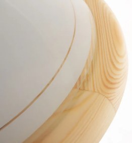 Rabalux 5421 - Stropné svietidlo UFO 2xE27/60W/230V