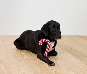 Hračka pre psa »Zuckerstange«