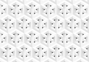 Fototapeta - Kocky (254x184 cm)