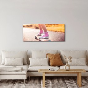 Obraz skateboardu (120x50 cm)