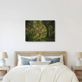 Sklenený obraz stromov (70x50 cm)
