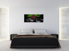 Obraz - Lávové kamene (120x50 cm)