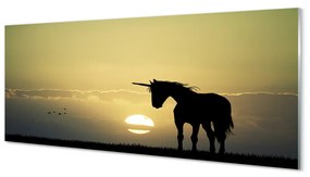 Obraz na akrylátovom skle Pole sunset jednorožec 120x60 cm