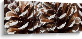 Obraz - Šišky (s hodinami) (90x30 cm)