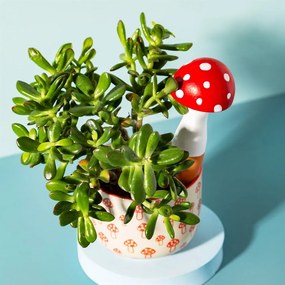 Terakotový zavlažovač Mushroom – Sass &amp; Belle