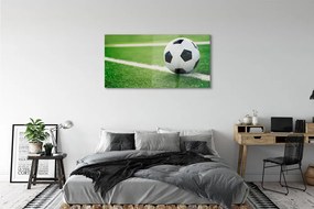 Obraz plexi Futbalový trávnik 125x50 cm