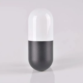 Vonkajšie nástenné svietidlo HORTEN 1xE27/10W/230V IP44