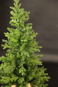Smrek Tirolský 3D- 135cm