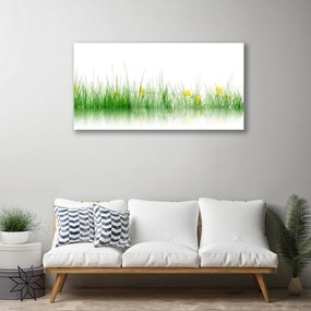 Obraz plexi Príroda tráva kvety 100x50 cm