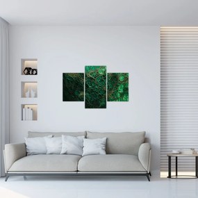 Obraz - Zelený mikroskopický záber (90x60 cm)