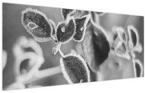 Obraz - Príroda na jeseň (120x50 cm)