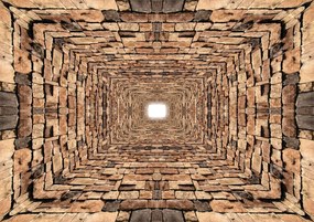 Fototapeta - Tunel 3D kameňov (254x184 cm)
