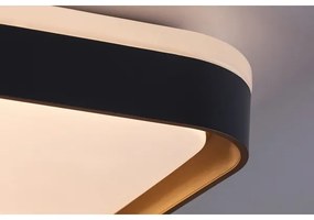 Rabalux 71029 - LED stropné svietidlo LIATRIS LED/26W/230V 3000K