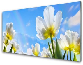 Skleneny obraz Rastliny kvety tulipány 140x70 cm