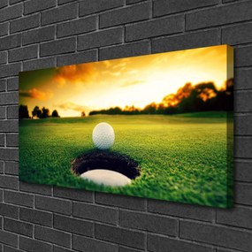 Obraz na plátne Golfový loptička tráva príroda 100x50 cm