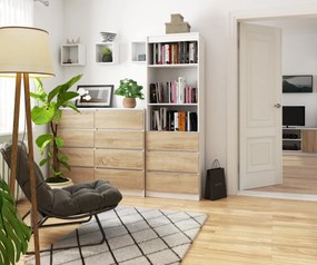 Knižnica Star 60 cm biela/sonoma