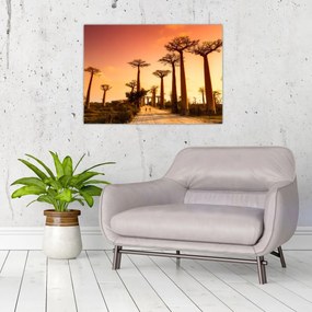 Obraz - Západ slnka v uličke Baobab (70x50 cm)