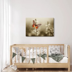 Obraz motýľa (90x60 cm)