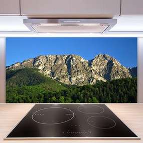 Nástenný panel  Hora les príroda 120x60 cm