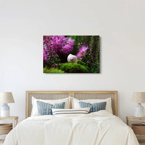 Obraz - Slimáková ulita (90x60 cm)