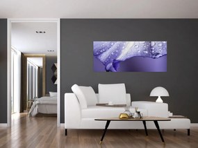 Obraz - Okvetný lístok s kvapkami (120x50 cm)
