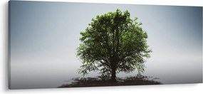 Obraz - Osamotený strom (120x50 cm)