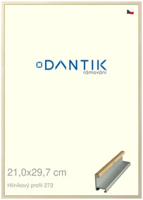 DANTIK rám na obraz 21x29,7 | ALU Dýha javor (Sklo Čiré)