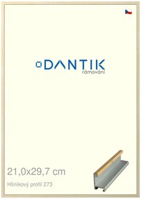 DANTIK rám na obraz 21x29,7 | ALU Dýha javor (Sklo Čiré)