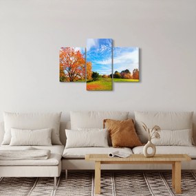 Obraz - Jesenná krajina (90x60 cm)