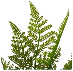 Umelá papraď (výška 45 cm) – Casa Selección