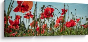 Obraz - Na poli vlčích makov (s hodinami) (90x30 cm)