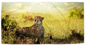Sablio Uterák Gepard - 30x50 cm