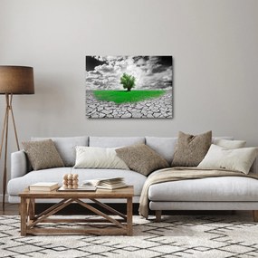 Obraz - Kus prírody v meste (70x50 cm)